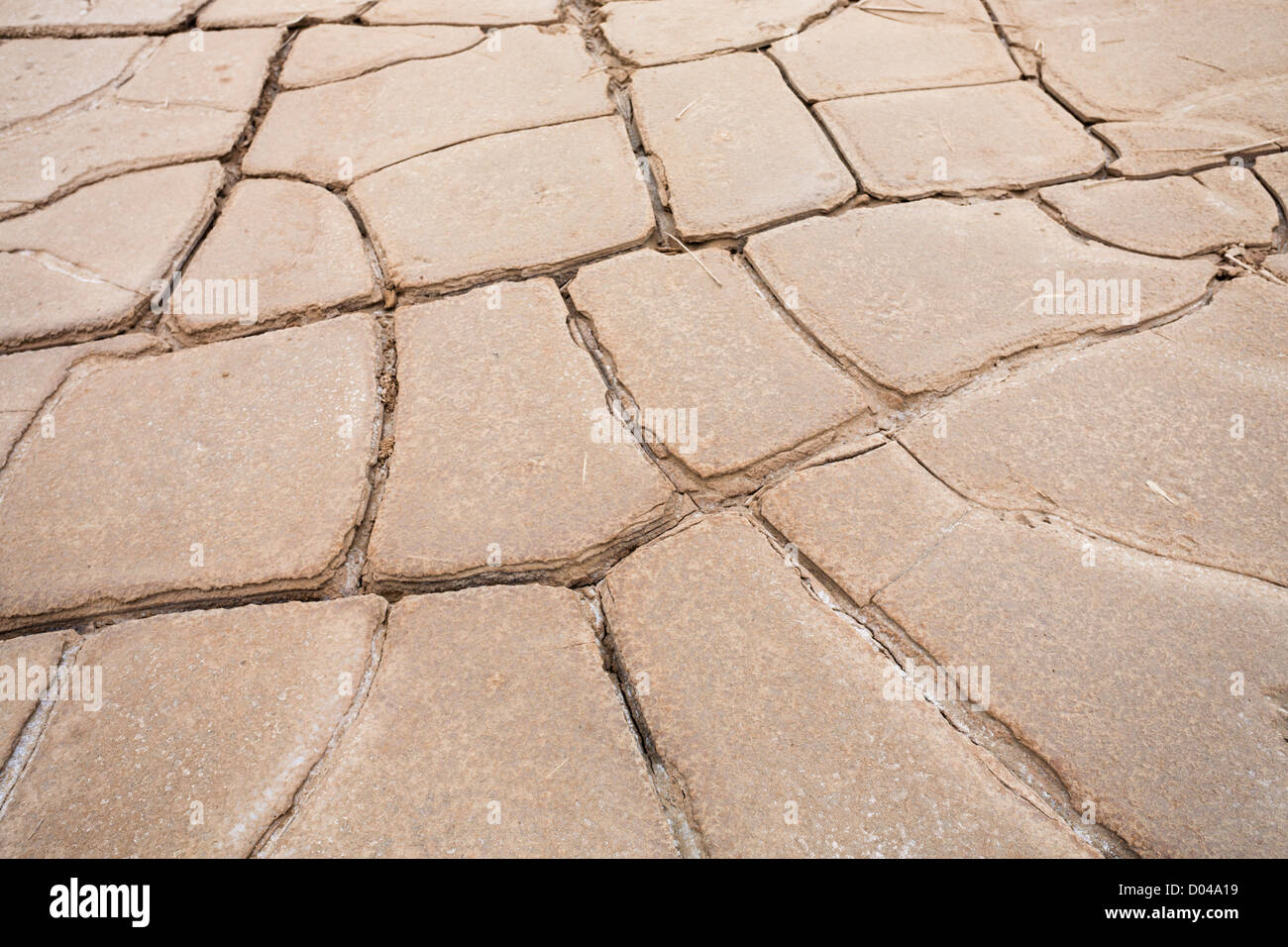 Trockene Erde Stockfoto