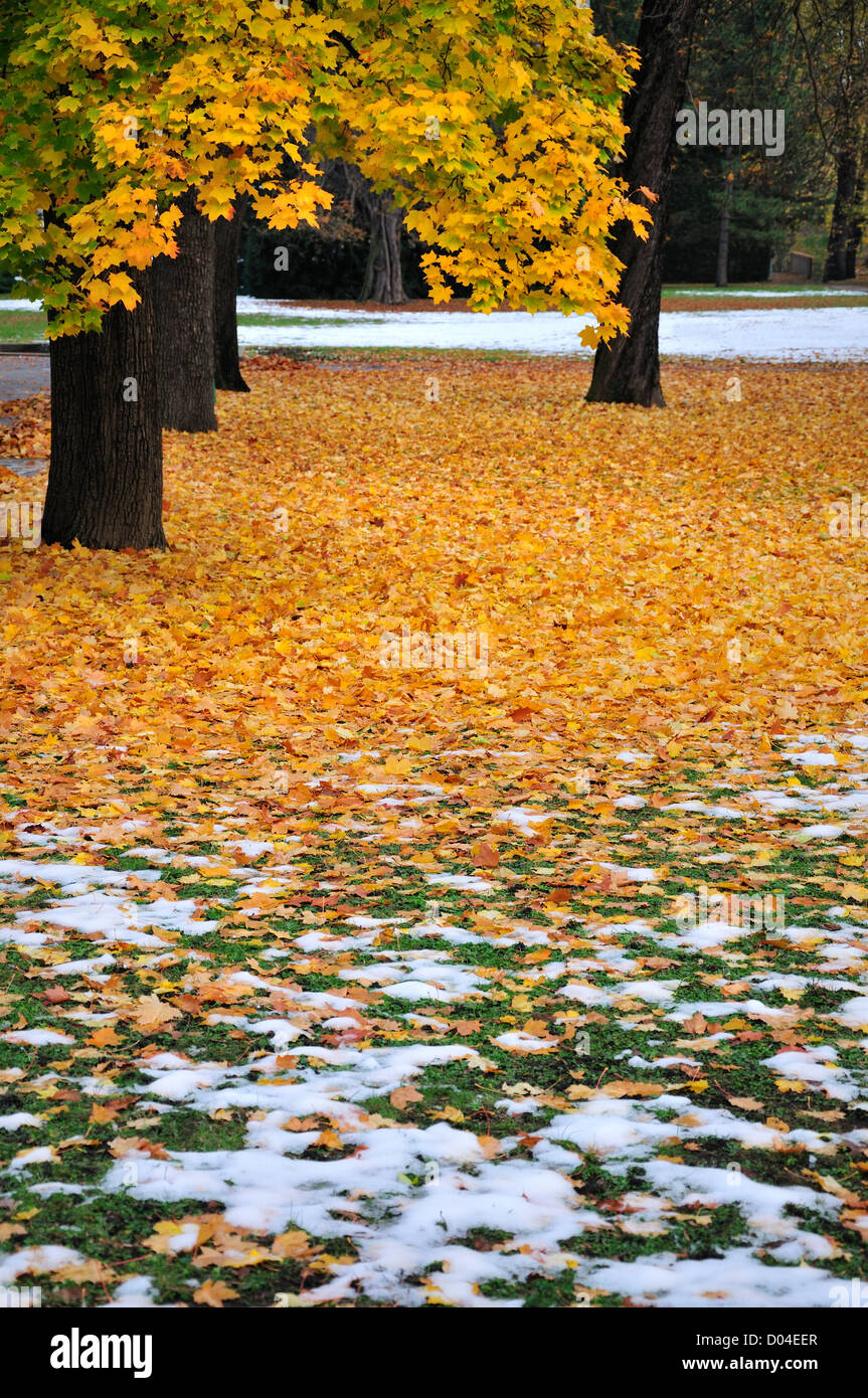 Prag, Tschechische Republik. Herbstlaub und Schnee (Oktober) in den Gärten von Rieger Stockfoto