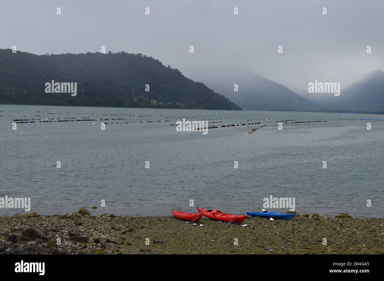Kajakfahren auf den chilenischen Fjorden in der Nähe von Puerto Varas, Patagonien Stockfoto