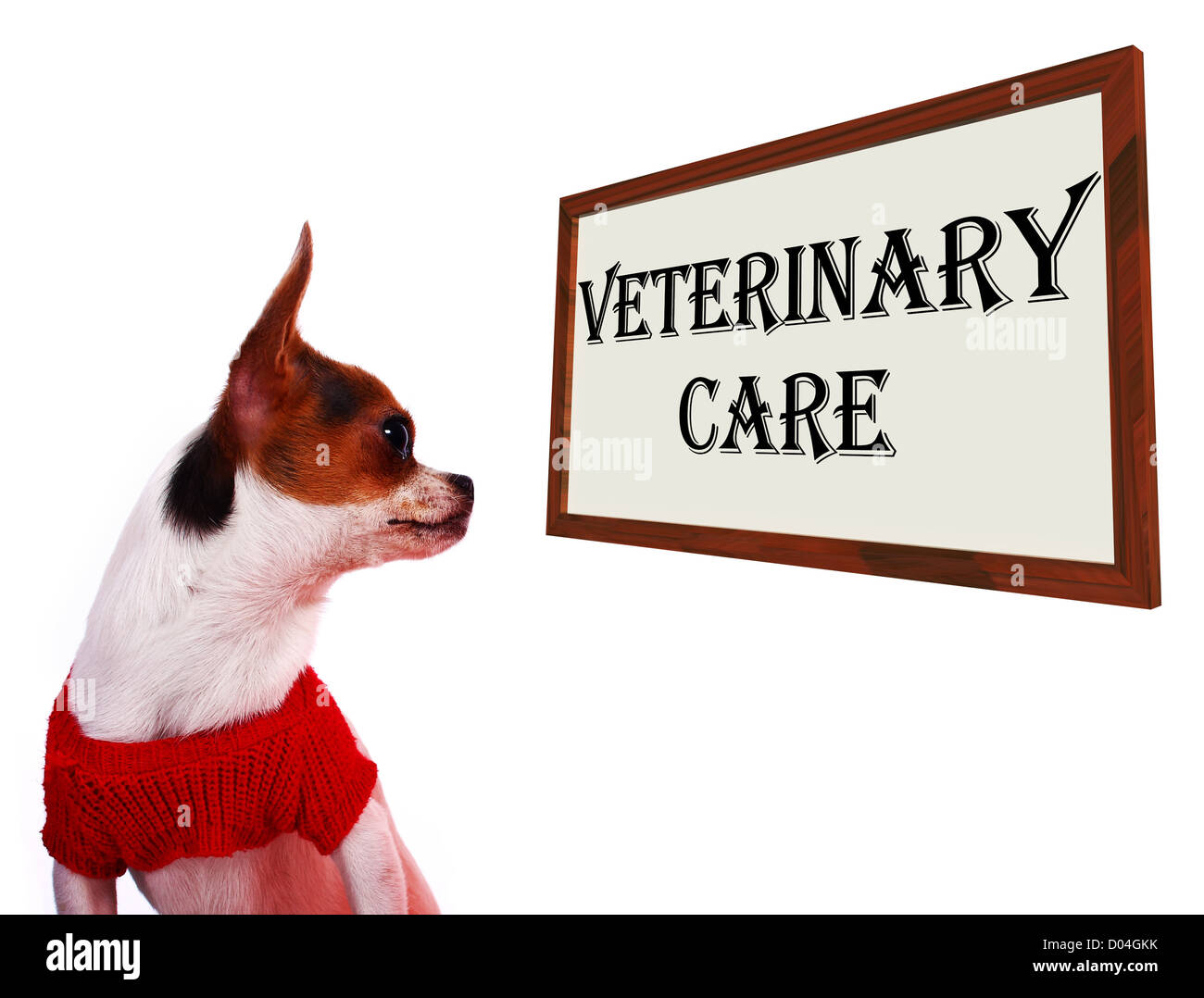 Tierärztliche Versorgung Zeichen zeigt Pet Klinik oder ein Krankenhaus Stockfoto