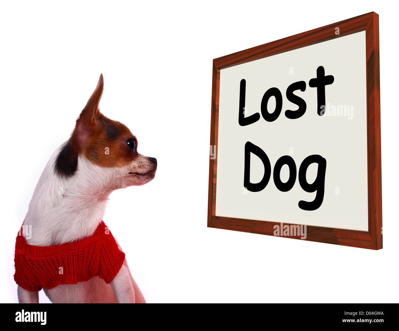 Verlorene Hundeausstellungen Zeichen fehlen oder außer Kontrolle geratenen Welpen Stockfoto