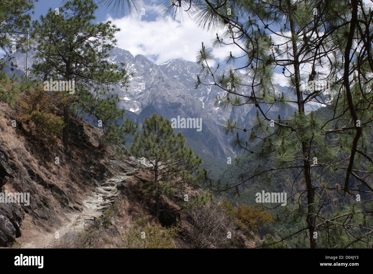 Pfad, Tigersprung-Schlucht, NW Yunnan Stockfoto