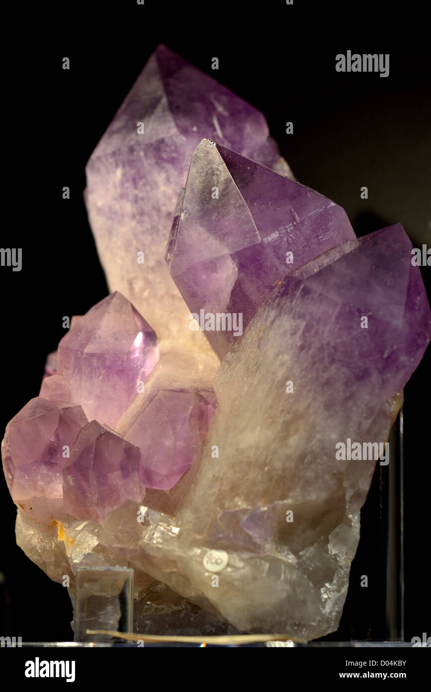 Kristalle von Amethyst, eine Vielzahl von Quarz SiO2. Stockfoto