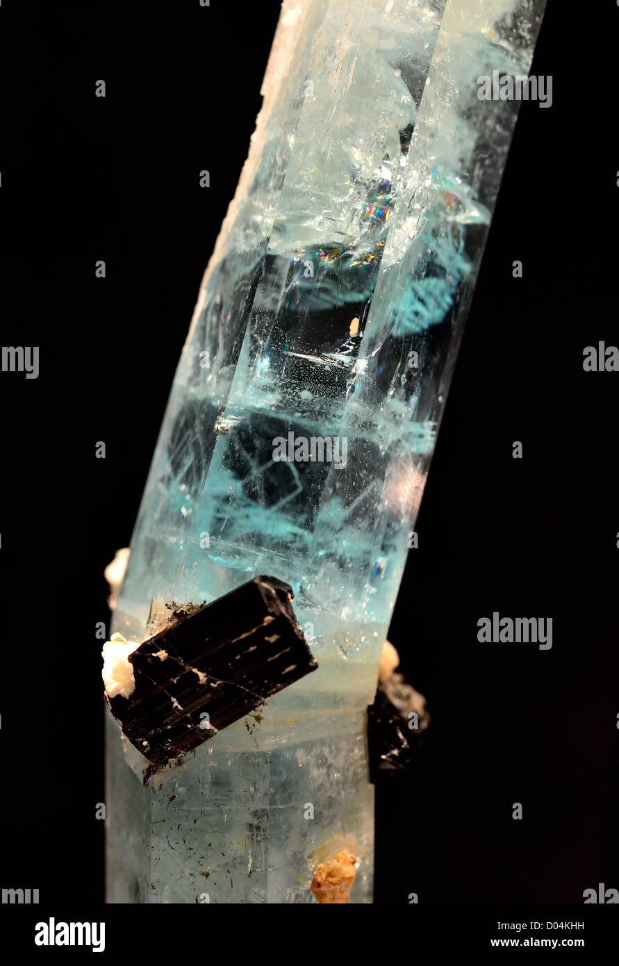 Kristalle von Aquamarin, Vielzahl von Beryl, ein Beryllium-Silikat-Mineral. Stockfoto