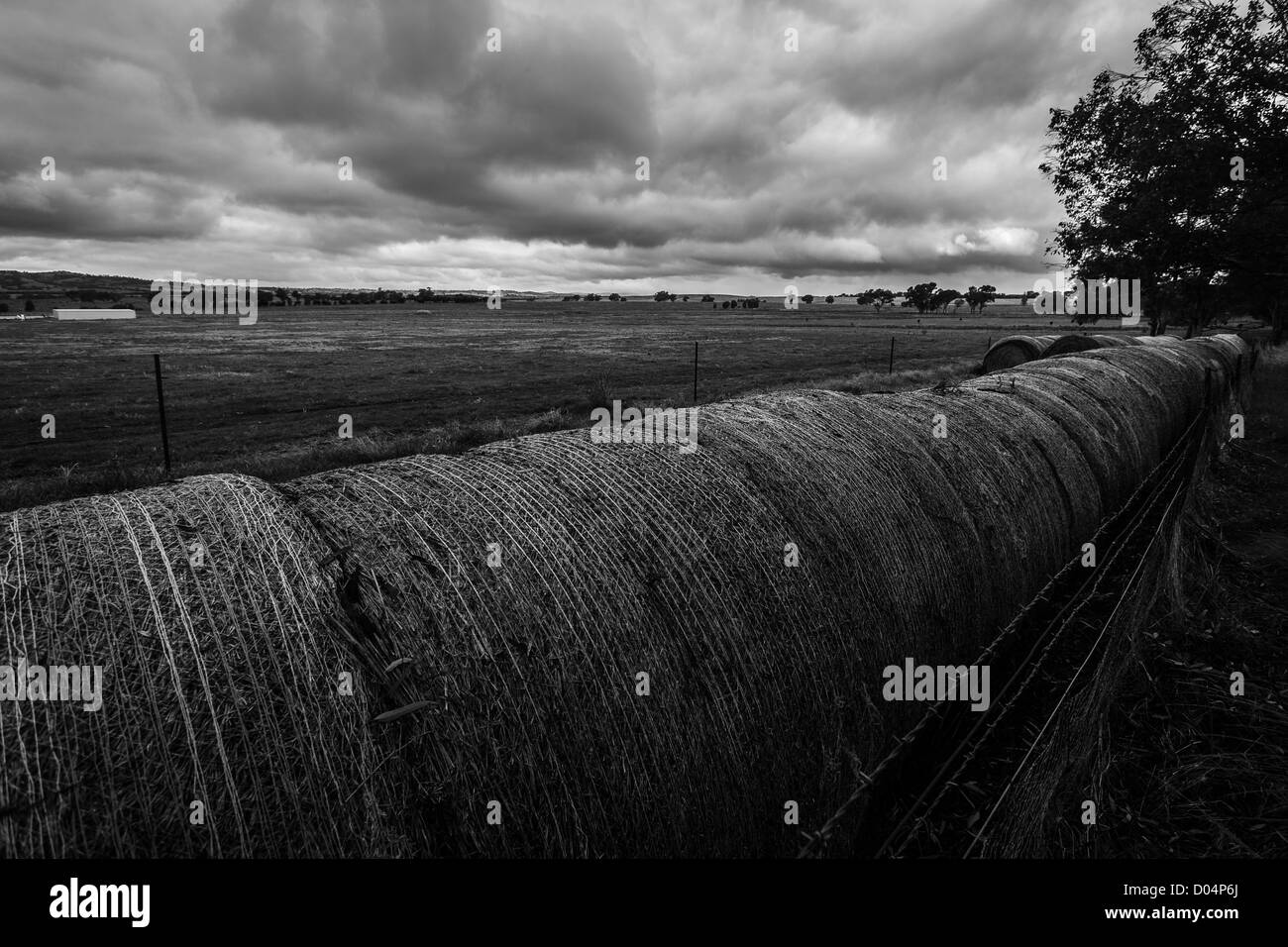 Wagga Wagga, NSW. Stockfoto