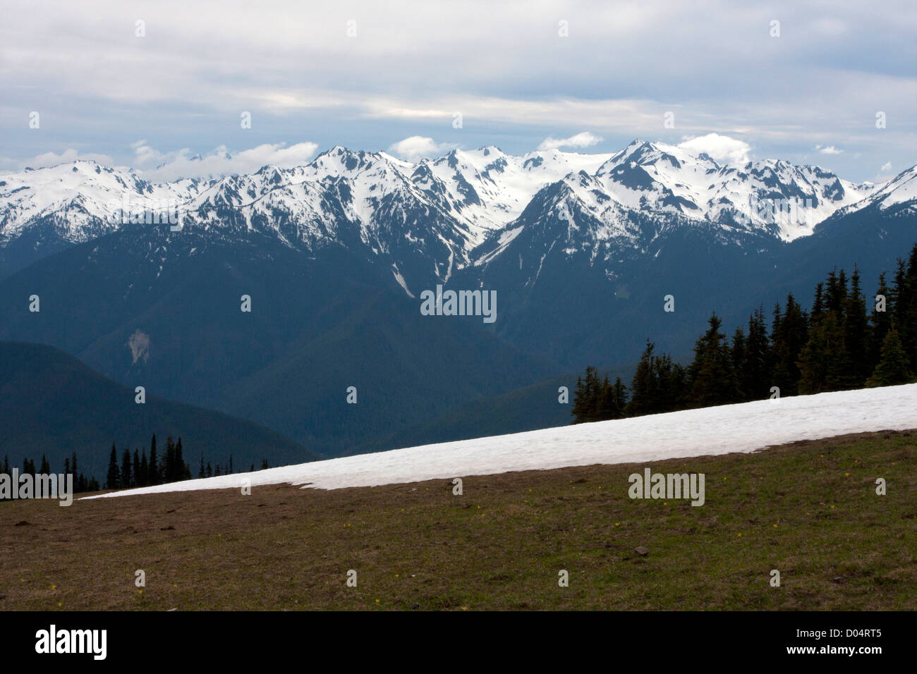 Malerische Aussicht von Olympic Bergkette in den Olympic National Park. Washington, USA von Hurrican Ridge im Juni Stockfoto