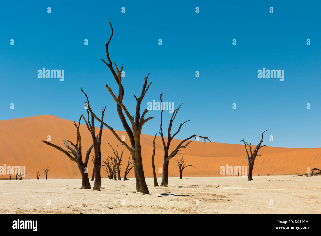 Death Vlei Salzsee in Namibia Stockfoto