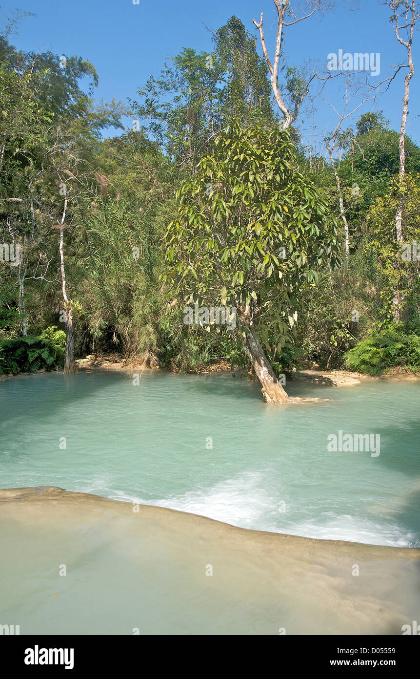 Tat Kuang Si Wasserfälle in der Nähe von Luang Prabang Laos Stockfoto