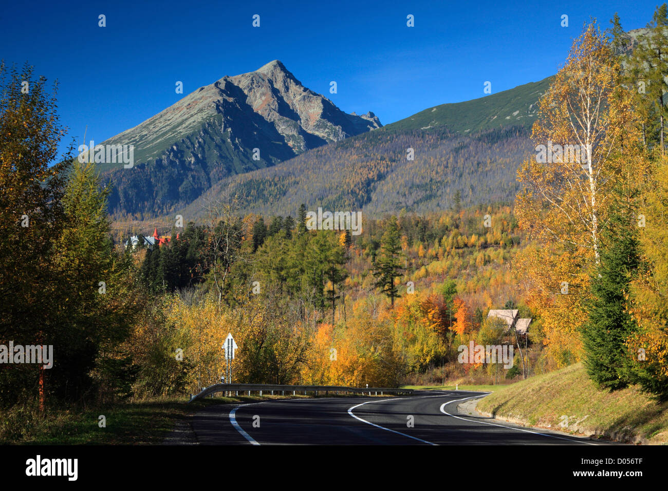 Herbstfarben entlang der Straße in Tatranska Lomnica in der Tatra-Region der Slowakei Stockfoto