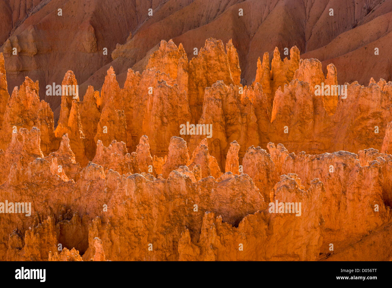 Hoodoos oder Felssäulen vor Erosion in den Kalksteinen und anderen Gesteinen Claron Formation, Bryce-Canyon-Nationalpark, Utah Stockfoto