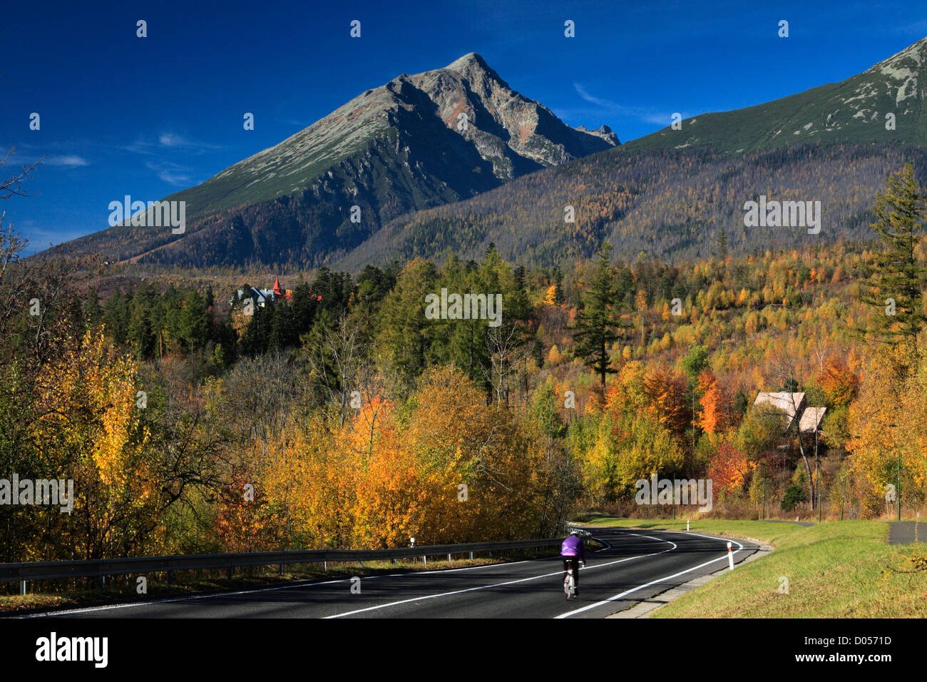 Radsportler, die unter den Farben des Herbstes entlang der Straße in Tatranska Lomnica in der Tatra-Region der Slowakei Stockfoto