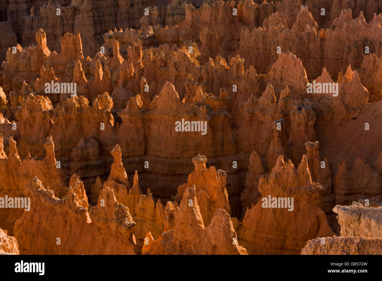 Hoodoos oder Felssäulen vor Erosion in den Kalksteinen und anderen Gesteinen Claron Formation, Bryce-Canyon-Nationalpark, Utah Stockfoto