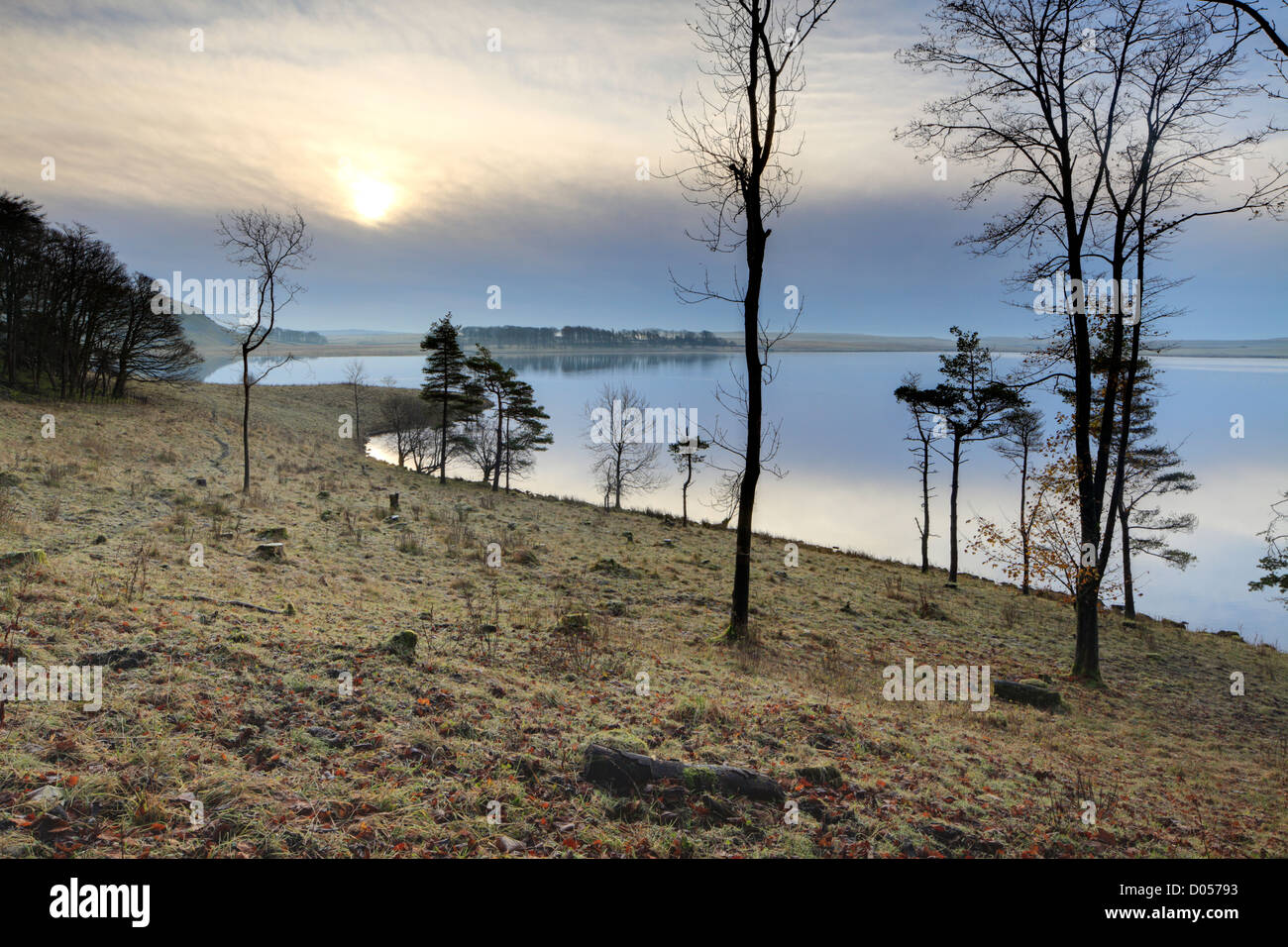 Nebliger Morgen Sonnenaufgang und Bäume bei Malham Tarn in der Yorkshire Dales of England Stockfoto