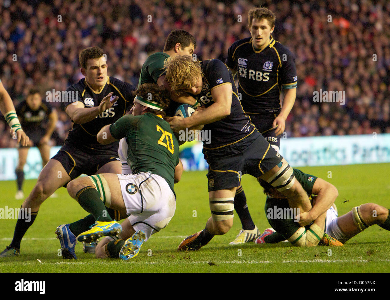 17.11.2012 Edinburgh, Schottland.    Schottlands Dave Denton in Angriff genommen wird durch Südafrikas Verteidigung während des EMC Scottish Rugby Herbst Tests zwischen Schottland V vom Murrayfield Stadion Credit Südafrika: Action Plus Sportbilder / Alamy Live News Stockfoto
