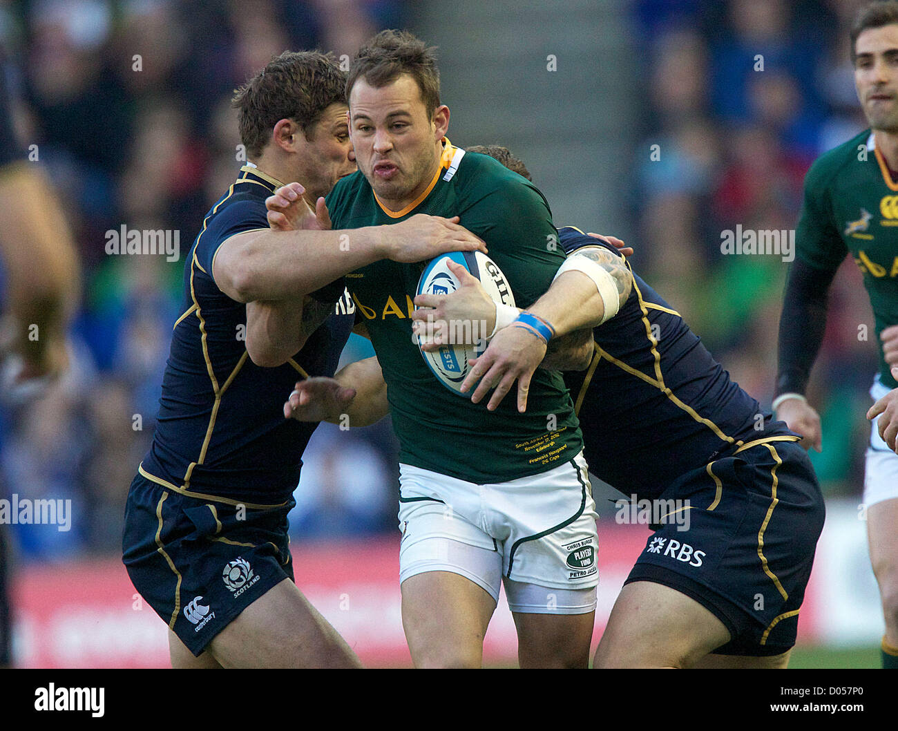 17.11.2012 Edinburgh, Schottland.     Südafrikas Francois Hougaard versucht Thrugh der schottischen Verteidigung während des EMC Scottish Rugby Herbst Tests zwischen Schottland V Südafrika von Murrayfield Stadion Kredit zu bekommen: Action Plus Sportbilder / Alamy Live News Stockfoto