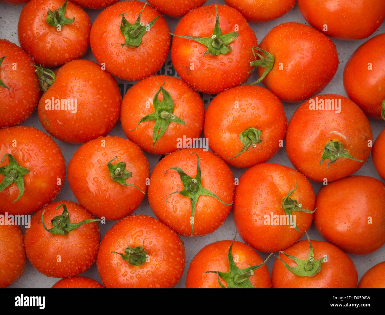 Heirloom Tomatoes Stockfoto