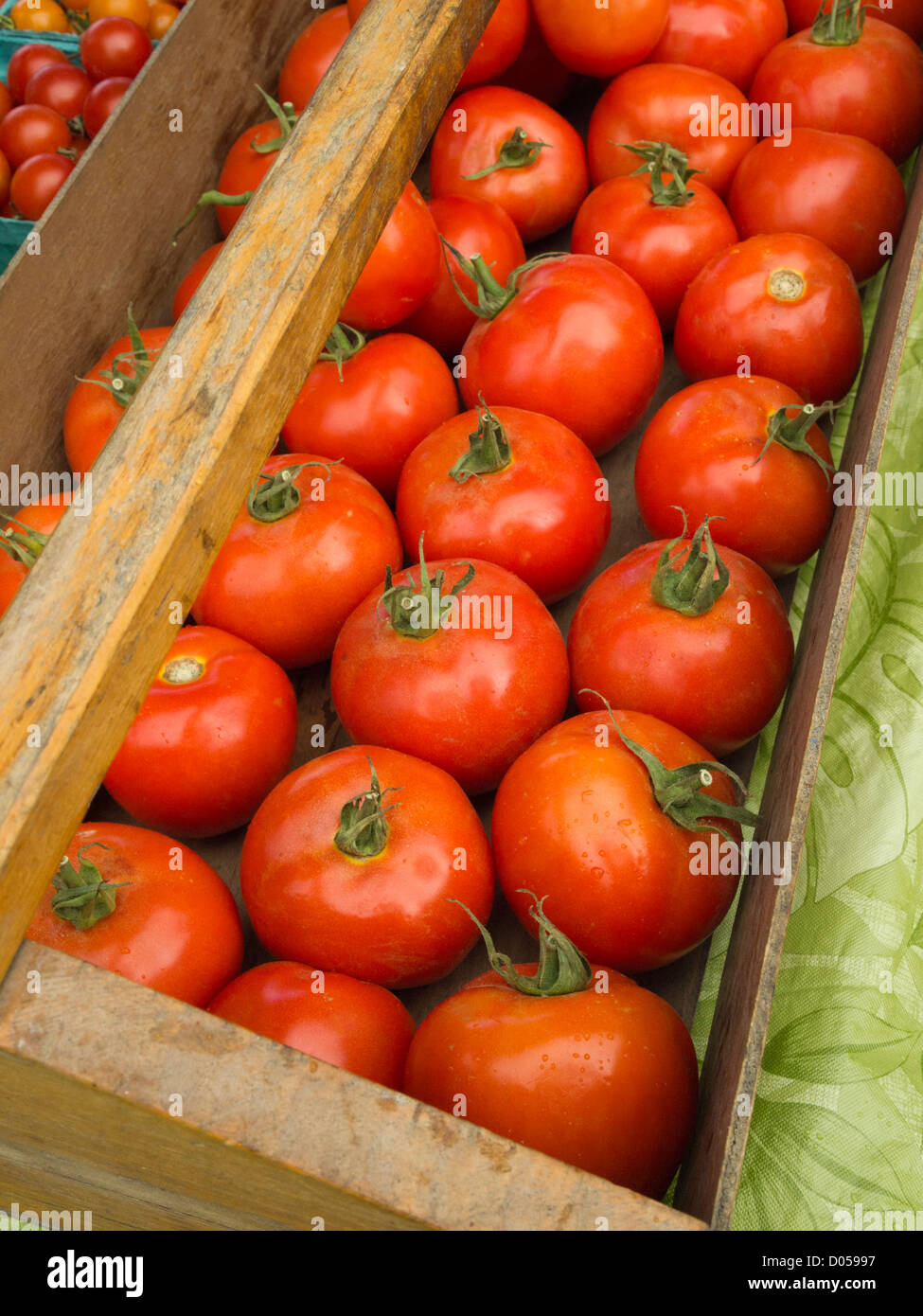 Heirloom Tomatoes Stockfoto