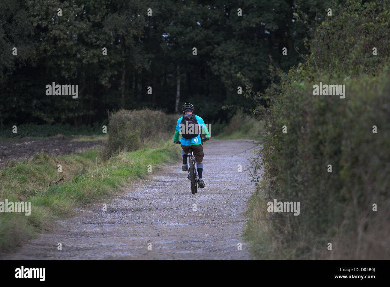 Mountainbiker fahren auf Feldweg Stockfoto