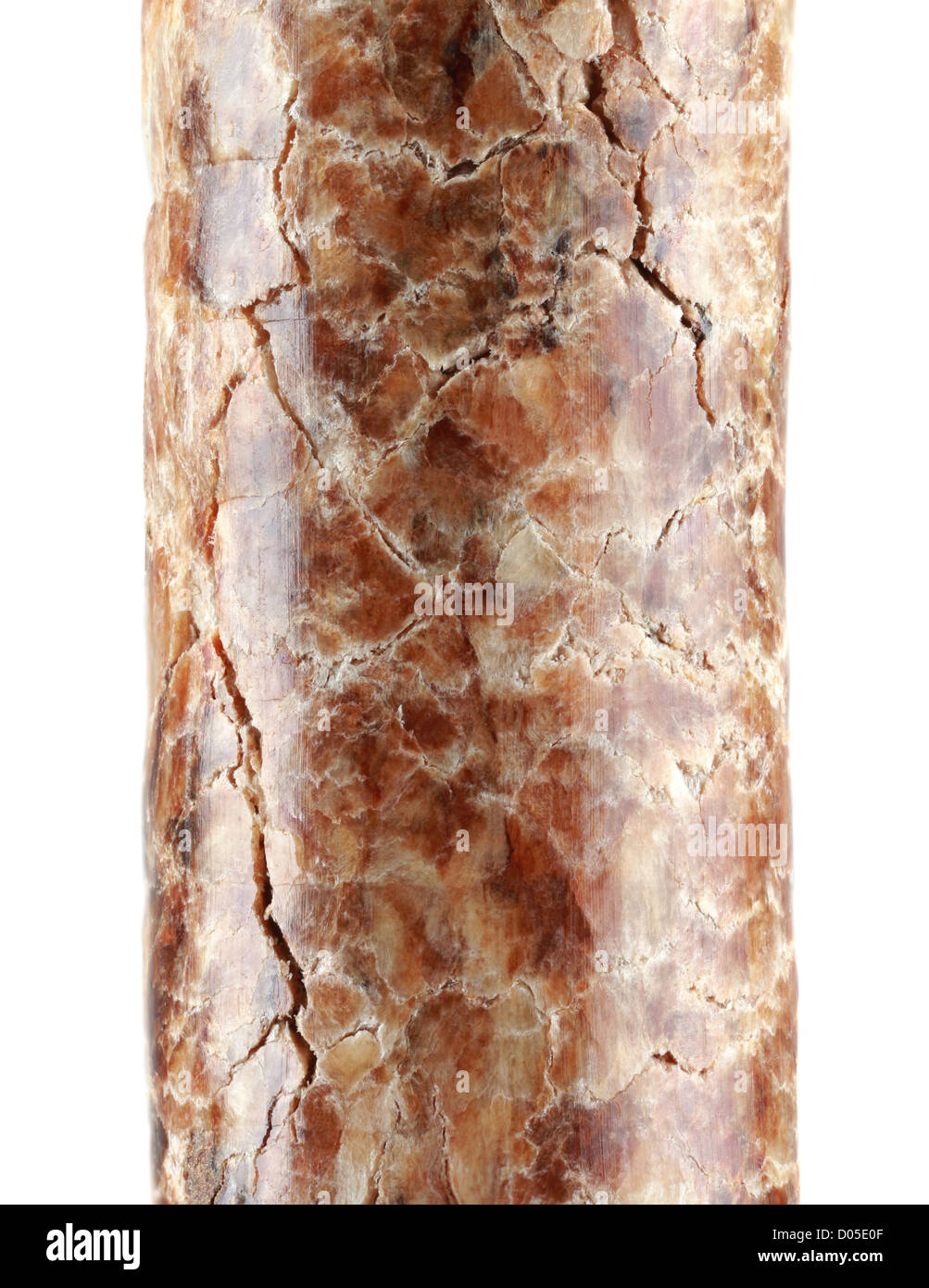 Makroaufnahme einer einzigen Holzpellets, Isolated on White Background Stockfoto