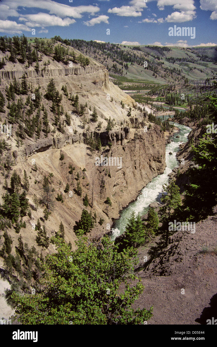 Yellowstone National Park's Yellowstone River an einem Sommertag. Stockfoto