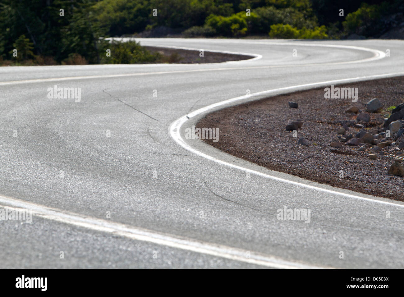 Kurvenreiche Straße am Mount Shasta, Kalifornien. Stockfoto