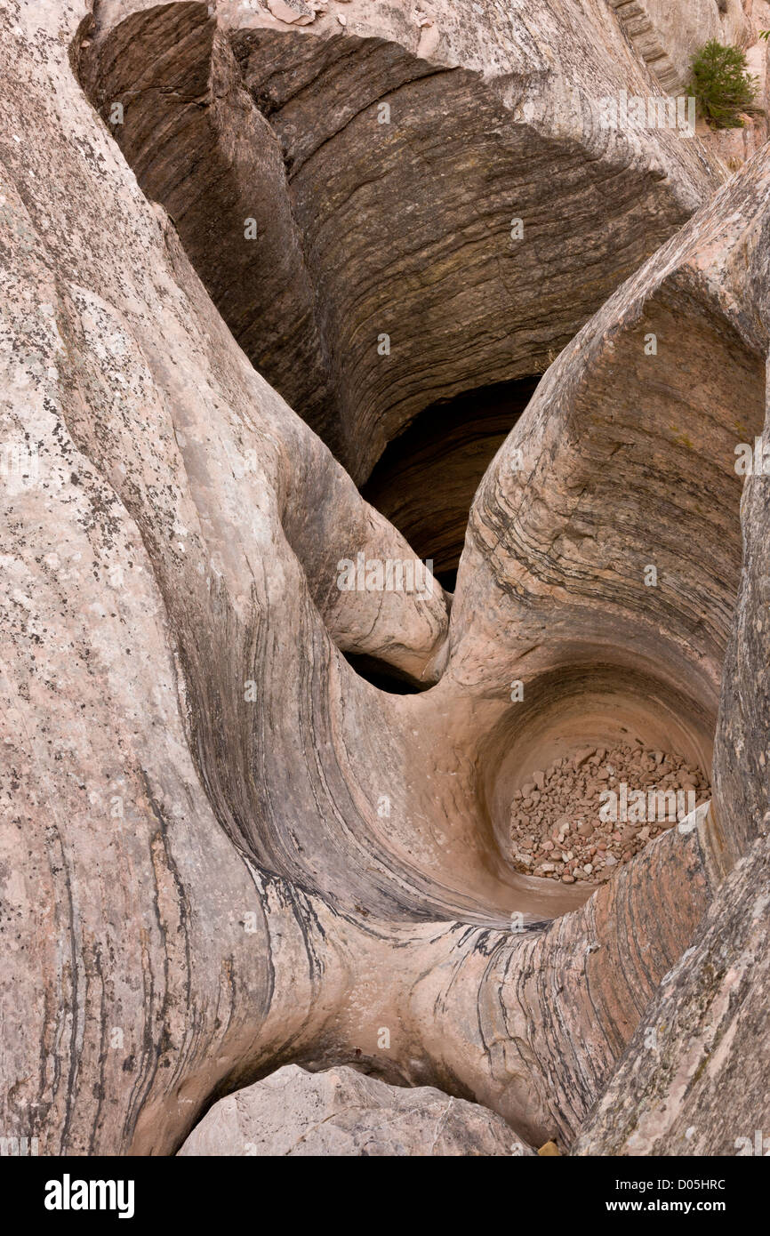 Erodierte Wasserlaufs in Sandstein, Hidden Canyon Navajo Sandstein; Zion Nationalpark, Utah, USA Stockfoto