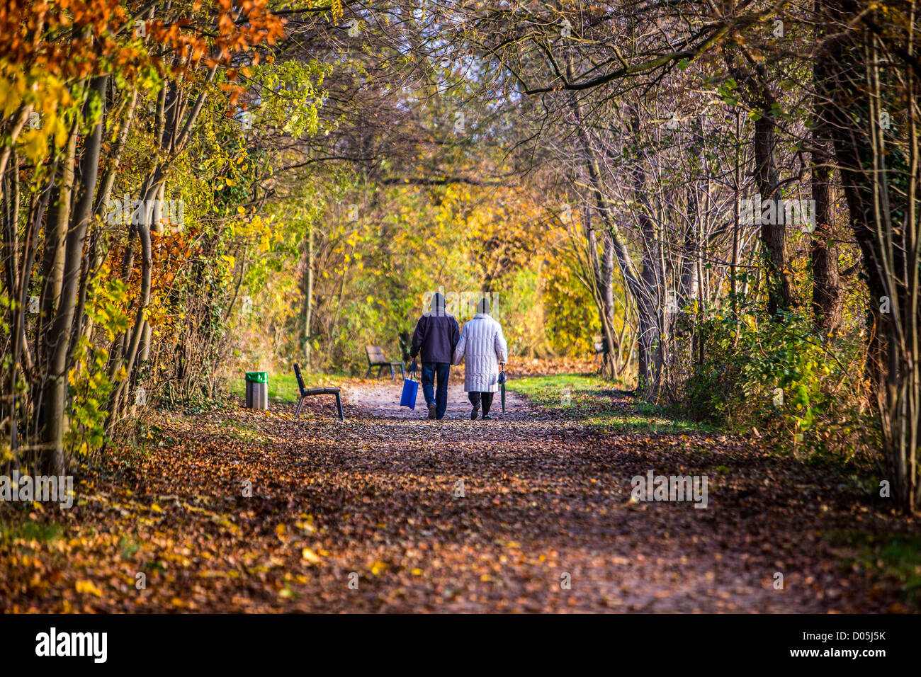 Zwei ältere Menschen, Senioren, Rentner, machen Sie einen Spaziergang im Herbst, eine farbige Wald entlang. Stockfoto
