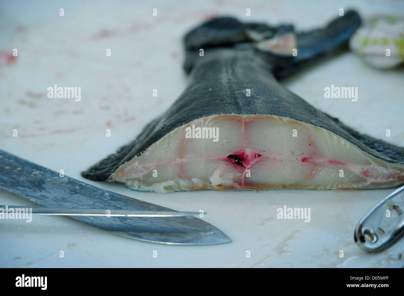 St. Georges Market, Belfast, Vereinigtes Königreich, 11/2012 Stockfoto