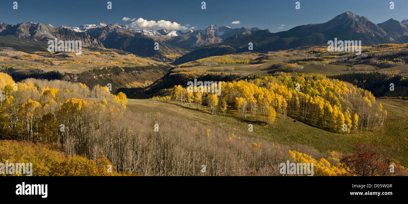 Aspen Wald und Weide im Herbst auf Wilson Mesa mit den hohen San Juan Mountains hinaus. Colorado, USA Stockfoto