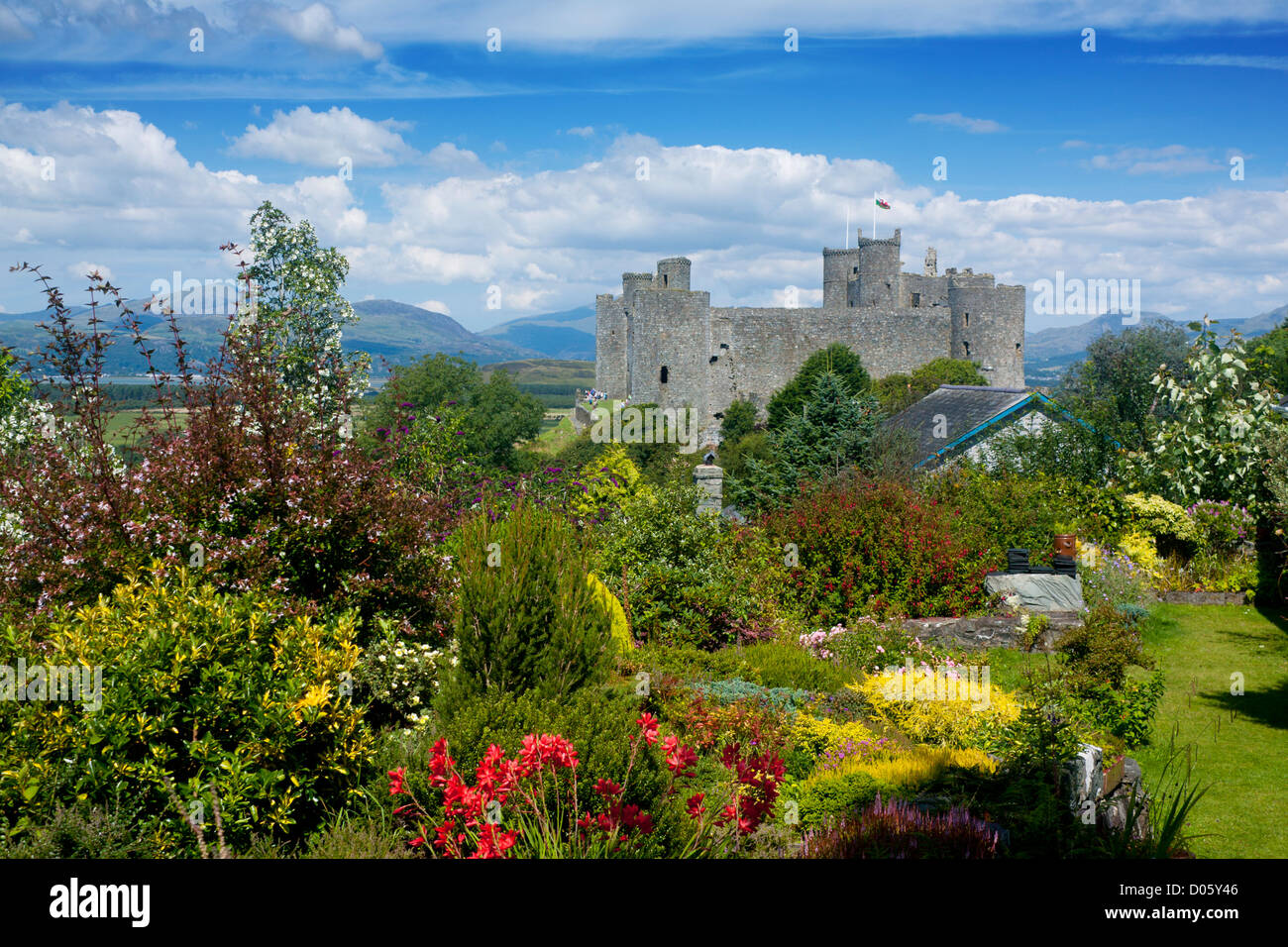 Harlech Castle mit Blumen im Vordergrund Gwynedd North Wales UK Stockfoto