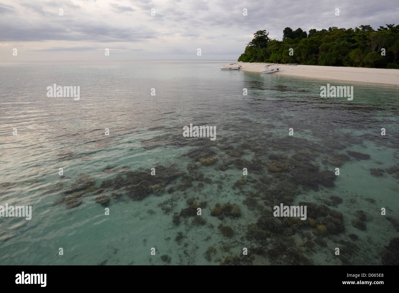 Korallenriff in den späten Abend Gezeiten, Lankayan Insel Borneo Stockfoto