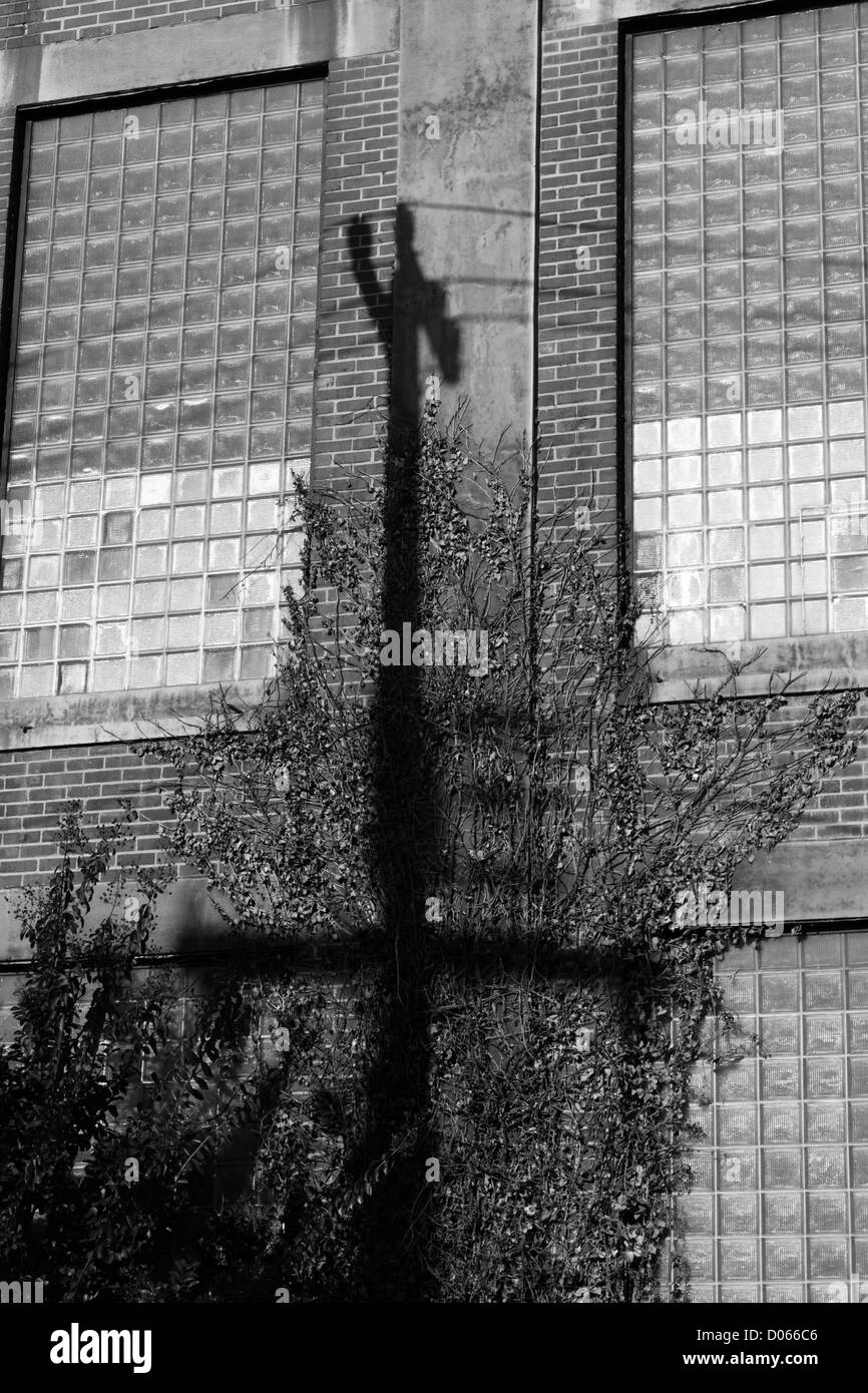 Power Line Schatten gegen Gebäude Stockfoto