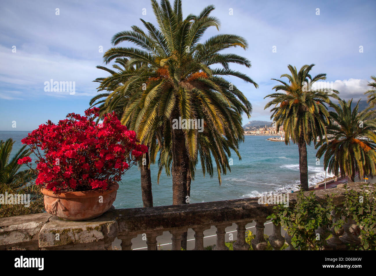 DIE MARIA SELENA GARTEN BEMERKENSWERTE GÄRTEN MENTON ALPES-MARITIMES (06) FRANKREICH Stockfoto