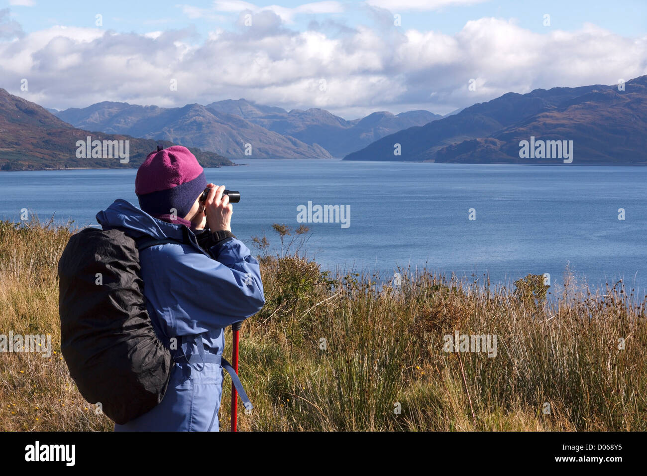 Frau, die durch ein Fernglas für die marine Tierwelt in Sound of Sleat, Isle Of Skye, Schottland, Großbritannien Stockfoto