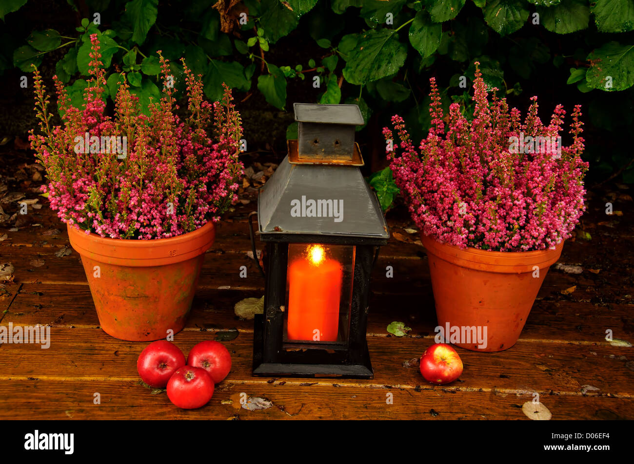 Herbst Garten Dekor mit Heidekraut, Kerzenlicht und Äpfel Stockfoto