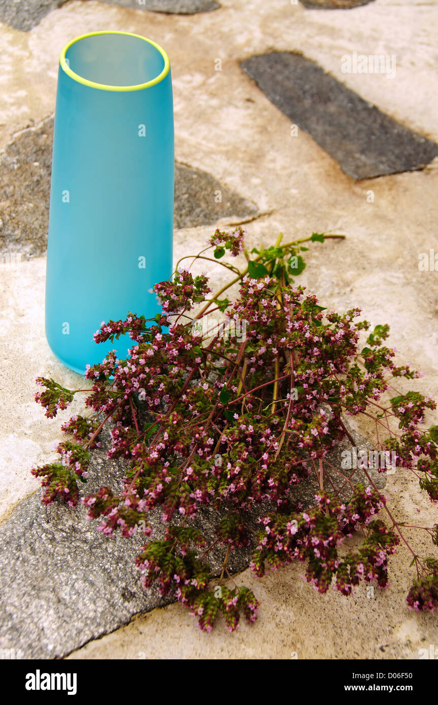 Ein Strauß Blumen, Kräuter frisch aus dem Garten Stockfoto