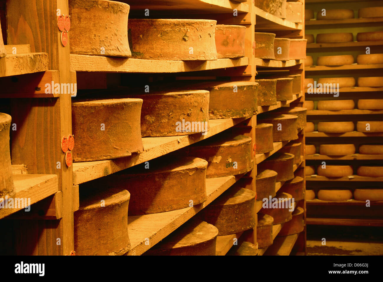 schmeckte Käse in einem traditionellen Keller zu verfeinern Stockfoto