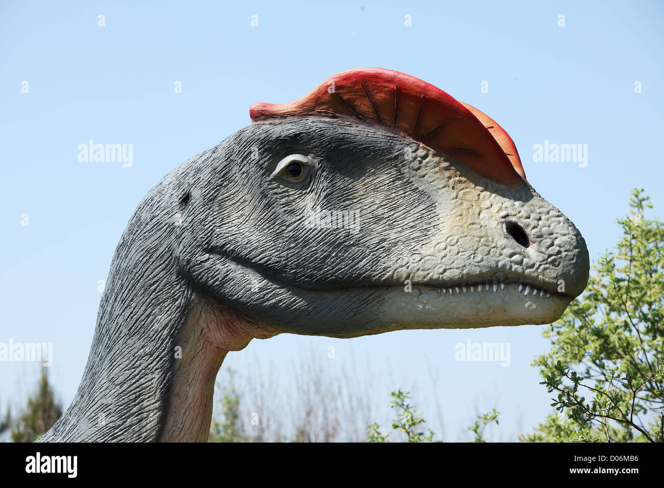 Dinosaurier - Dilophosaurus Kopf gegen blauen Himmel Stockfoto