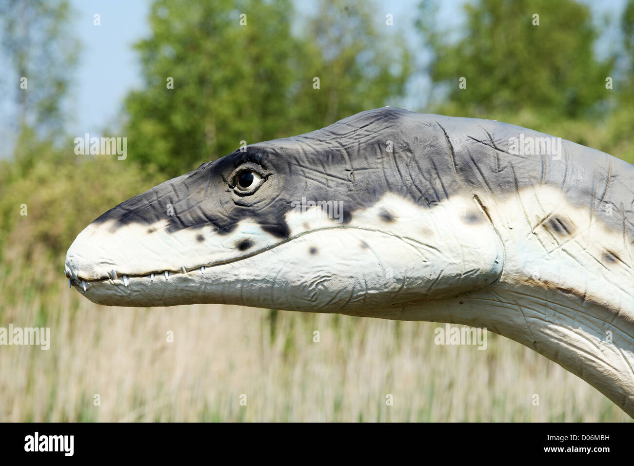 Dinosaurier - Kryptoklid (Cryptoclidus Eurymerus) Stockfoto
