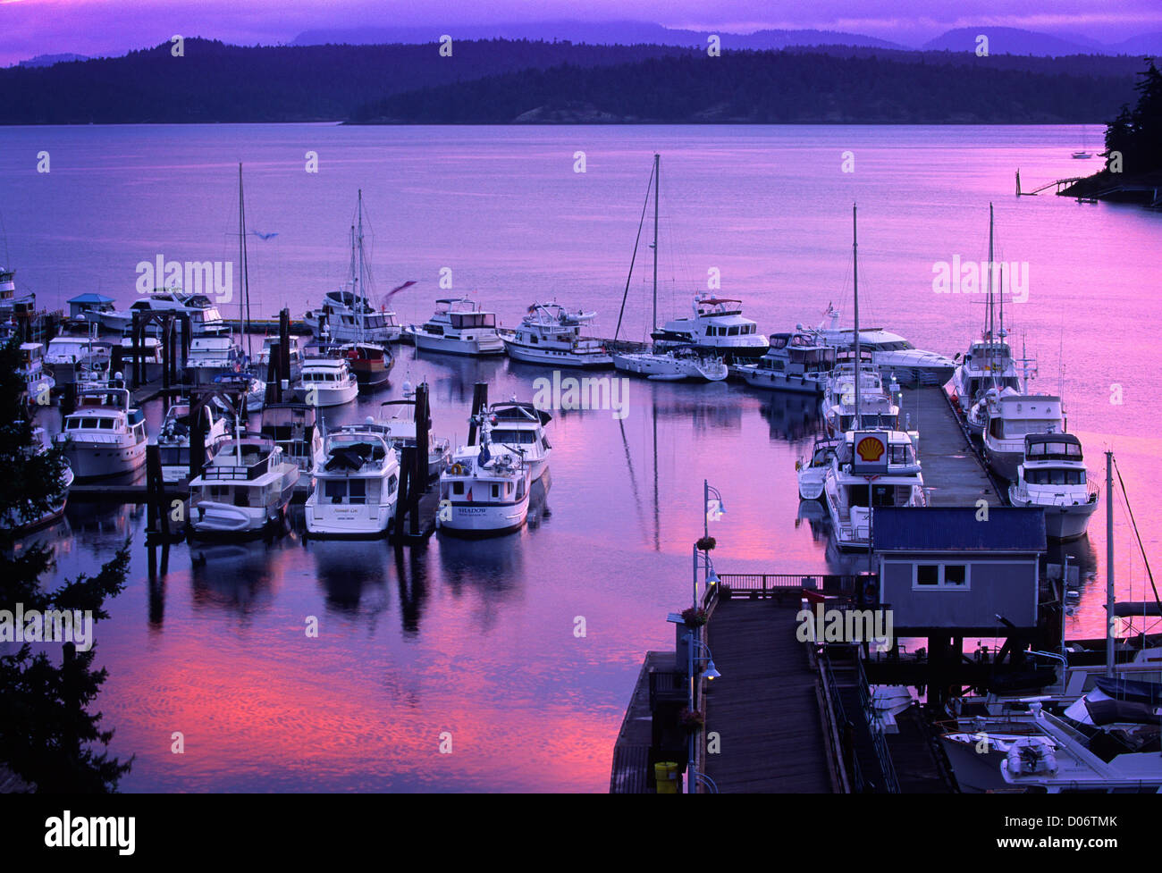 Die Marina am Friday Harbor auf der San Juan Insel, in der Morgendämmerung Licht leuchtend Stockfoto
