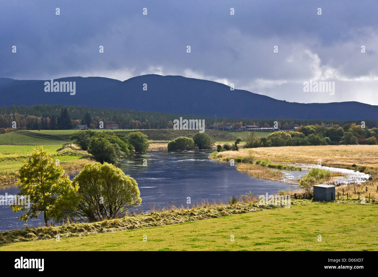 Der River Spey zwischen Boat of Garten und Grantown auf Spey in Schottland Highland ist über nach starken Regenfällen im Herbst fließt. Stockfoto