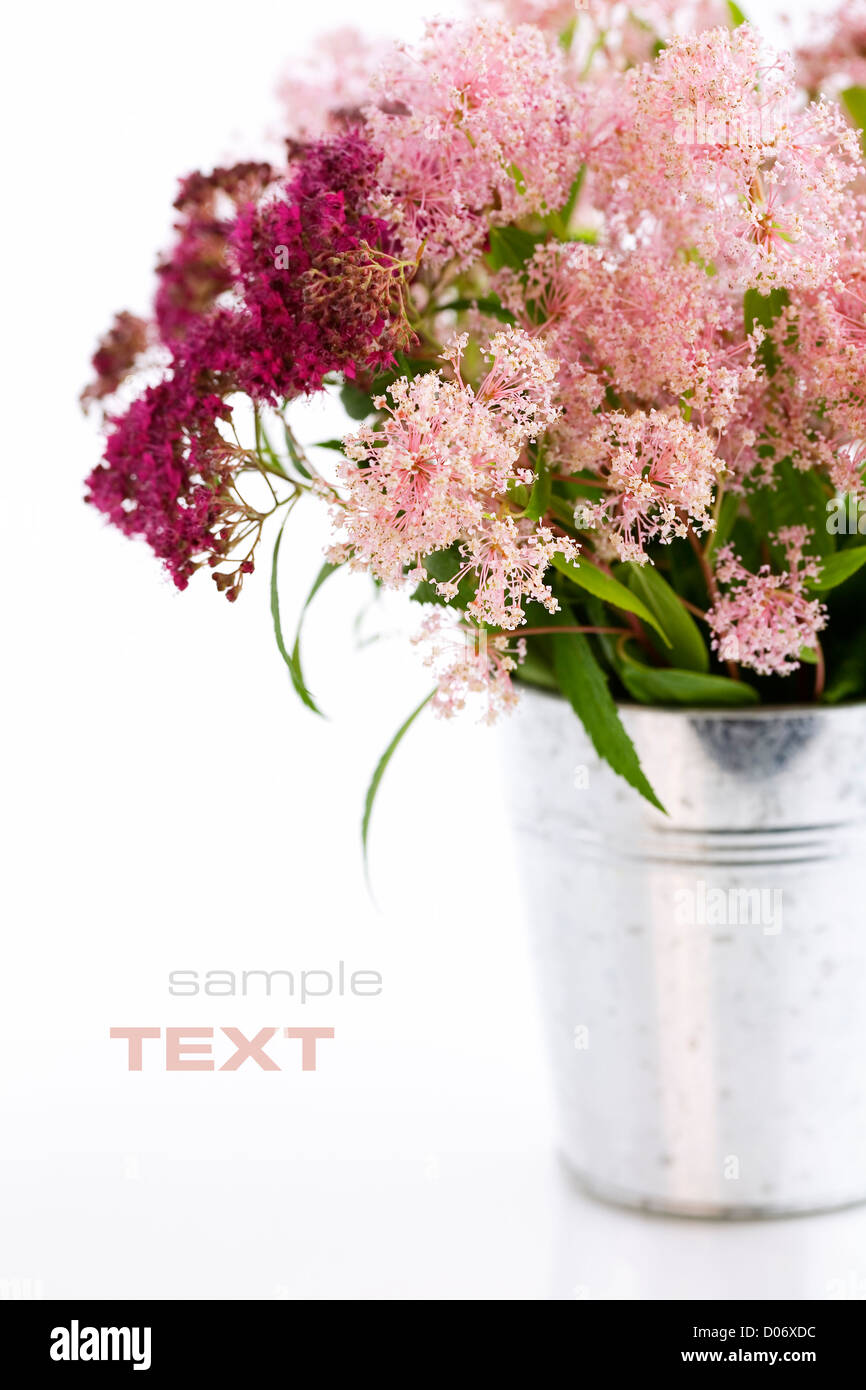 Blumenstrauß der Blumen in einem Topf über weiß (mit Beispieltext) Stockfoto