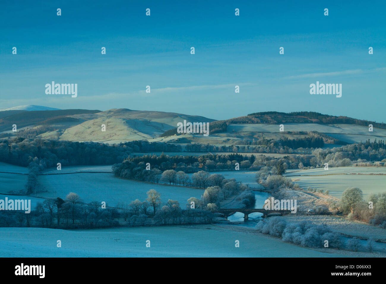 Der Tweed Valley von Manor Schwur in der Nähe von Peebles, Scottish Borders Stockfoto