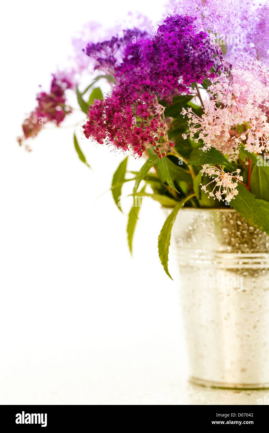 Bouqet aus Blumen Stockfoto
