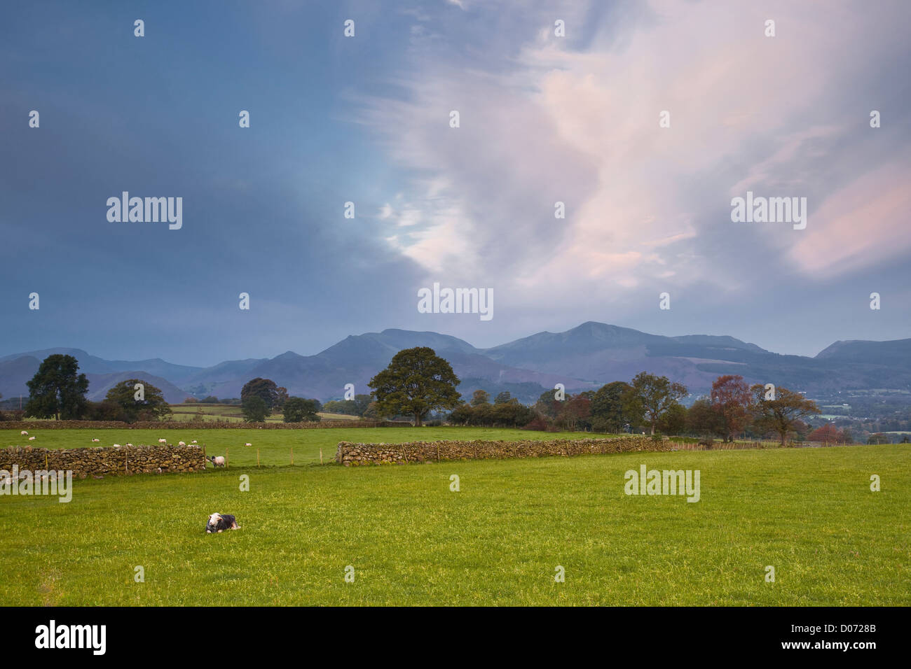 Die Fells des Lake District National Park in der Nähe von Keswick Stockfoto