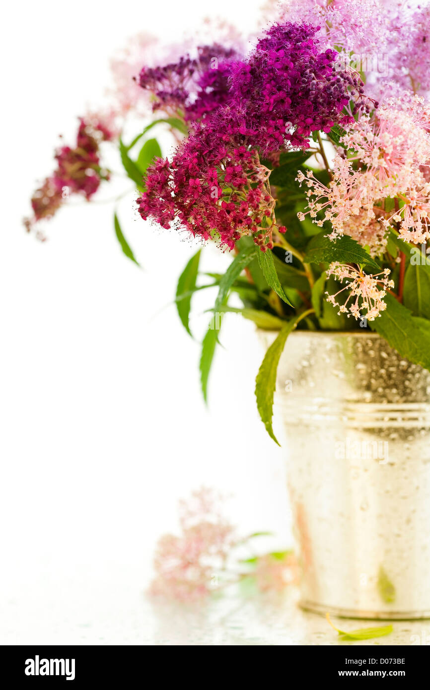 Bouqet aus Blumen Stockfoto