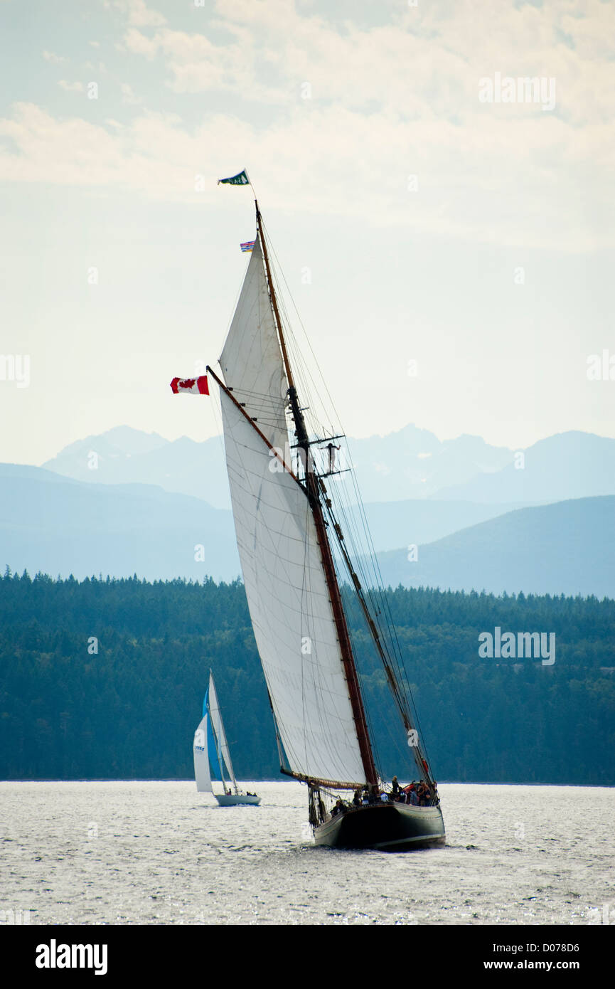 Segelboote konkurrieren in Port Townsend Wooden Boat Festival Schoner Rennen im Puget Sound of Washington State. Stockfoto