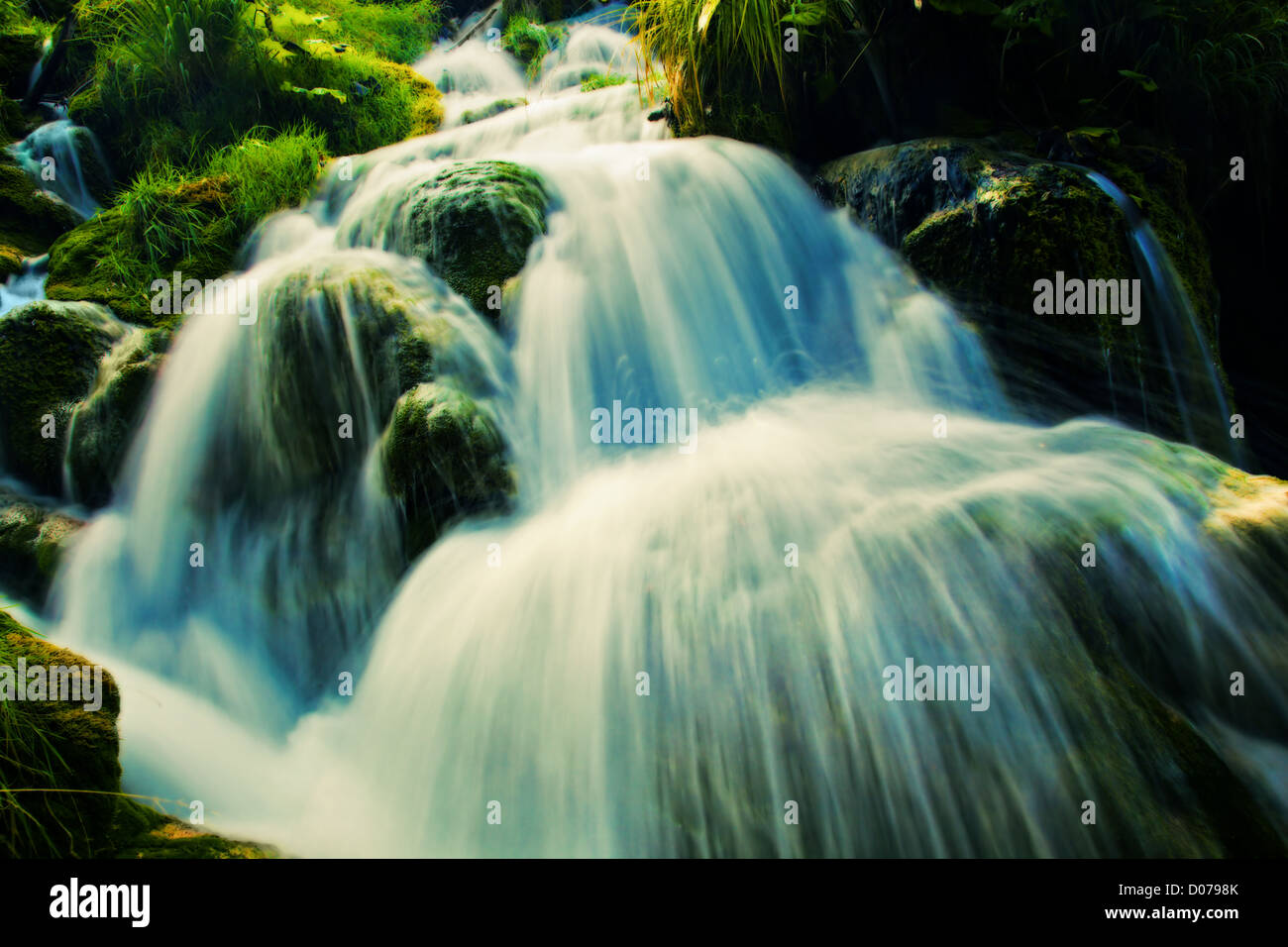 Wasserfall im Wald. Kristallklares Wasser. Plitvicer Seen, Kroatien Stockfoto