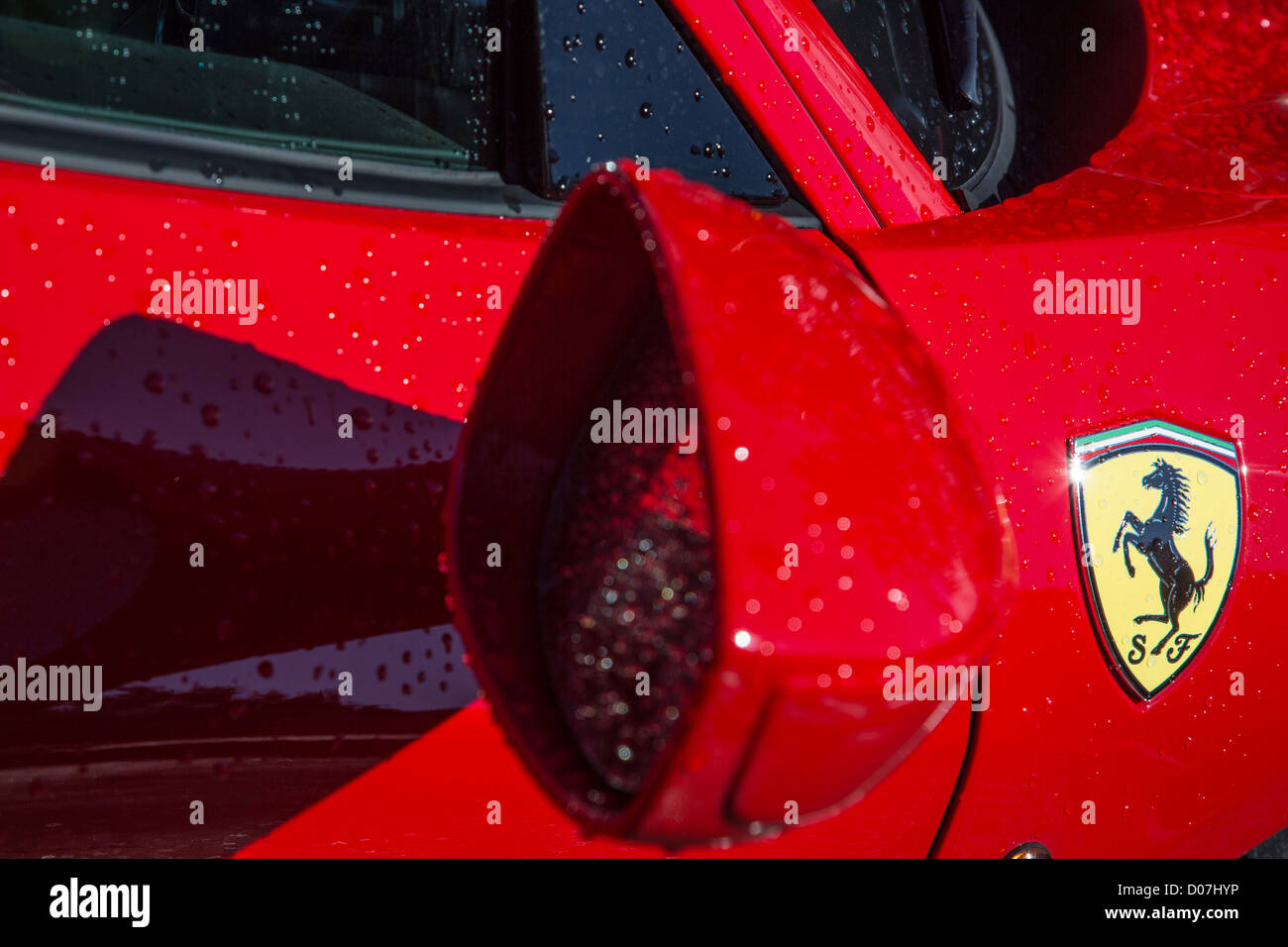 DETAIL VON EINEM FERRARI UND DAS LOGO DER AUFZUCHT PFERDE PRO PULSION SCHALTUNG DREUX EURE-ET-LOIR (28) FRANKREICH Stockfoto