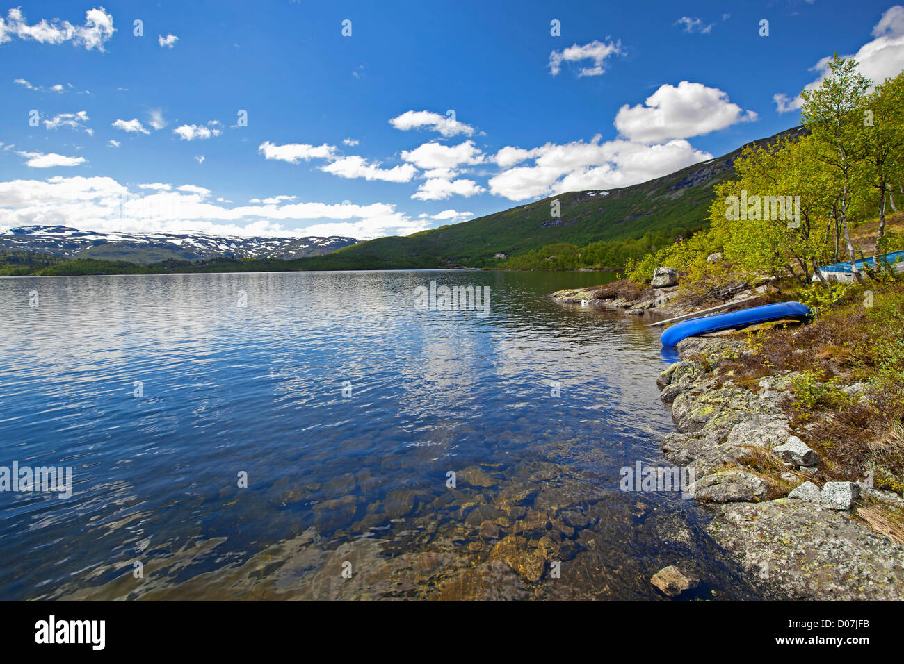 Haukeli im Sommer Stockfoto